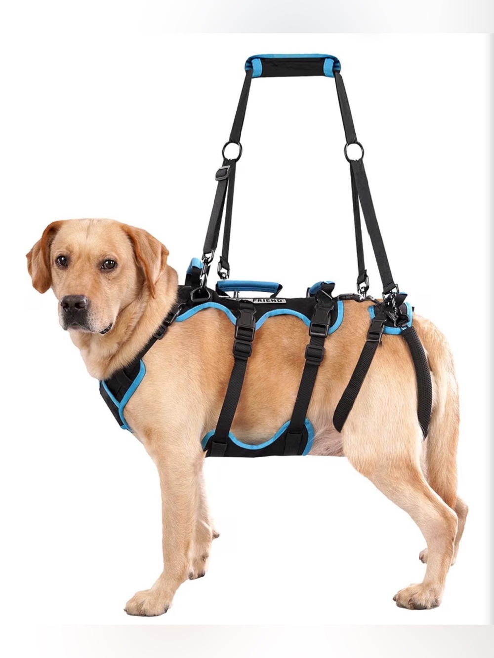 Dog Lift Harness for Large Male Dogs 2-in-1 Detachable Support Harness Size XL